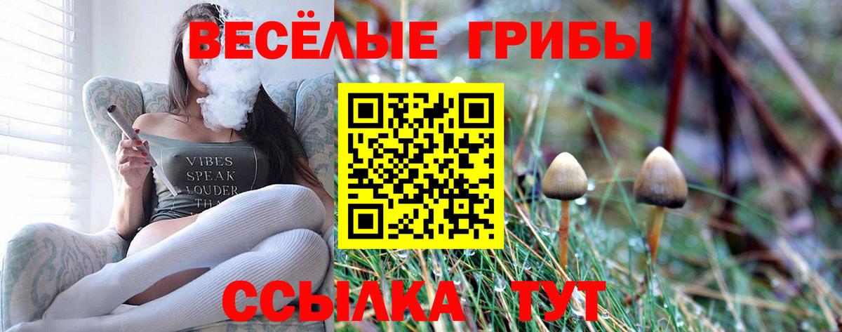 Галлюциногенные грибы Psilocybine cubensis  Вход с VPN  Владимир 