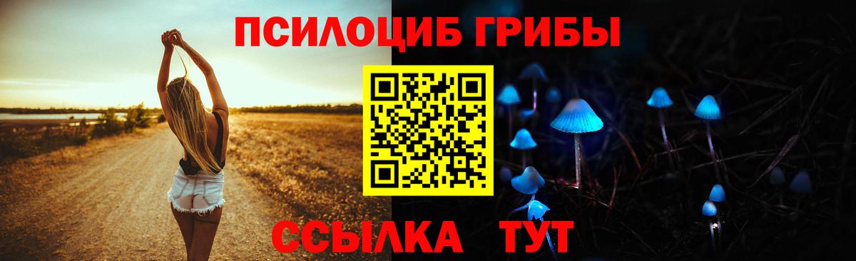 Псилоцибиновые грибы ЛСД Владимир
